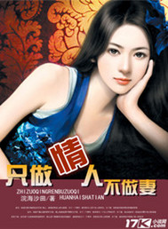 只做情人不做妻封面