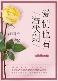 爱情也有潜伏期封面