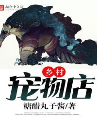 乡村宠物店封面