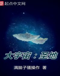 大宇宙：圣地封面