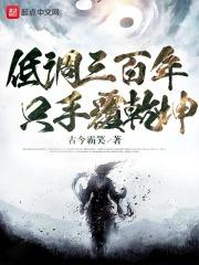 低调三百年，只手覆乾坤封面