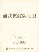 我有一对阴阳眼封面