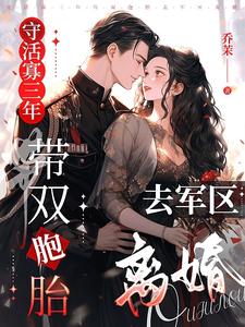 守活寡三年，带双胞胎去军区离婚封面