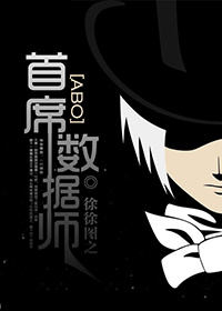 首席数据师封面