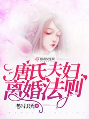 唐氏夫妇离婚法则封面