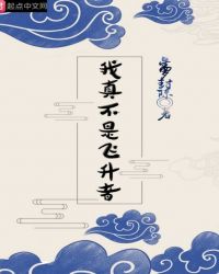我真不是飞升者封面