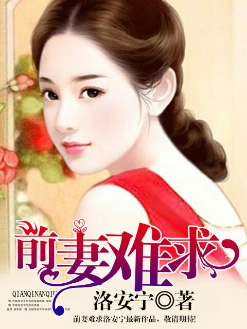 前妻难求封面