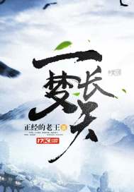 一梦长天封面