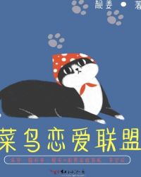 菜鸟恋爱联盟封面