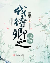 我待卿之以诚封面