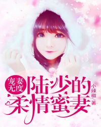 宠妻无度:陆少的柔情蜜妻封面