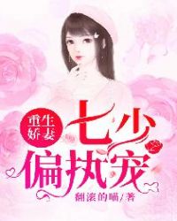 重生娇妻：七少偏执宠封面