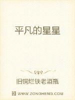 平凡的星星封面