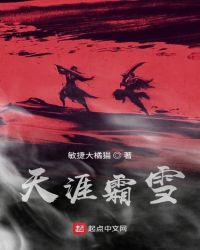 天涯霜雪封面