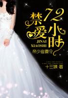 帝少追妻令：禁爱72小时封面