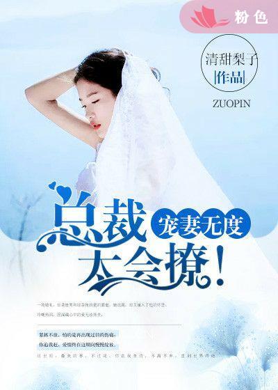 宠妻无度：总裁太会撩！封面