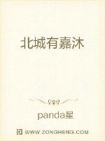 北城有嘉沐封面