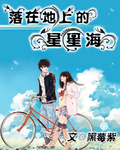 落在地上的星星海封面
