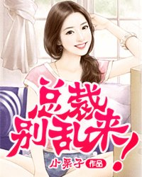 总裁别乱来!封面