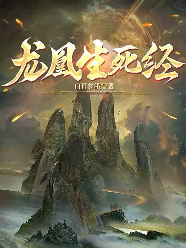 龙凰生死经封面