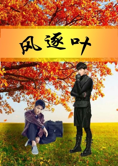 风逐叶封面