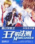 魔幻学院之王子的法则封面