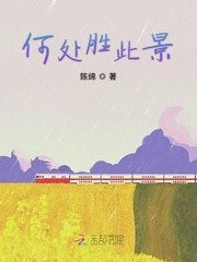 何处胜此景封面