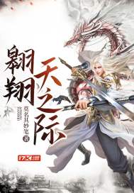 翱翔天之际封面