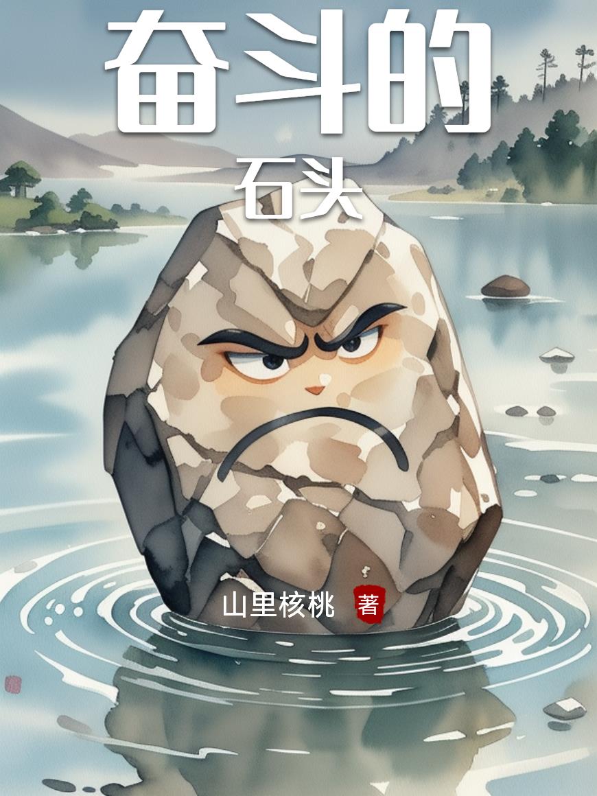 奋斗的石头封面