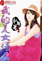 我的美女佳人封面