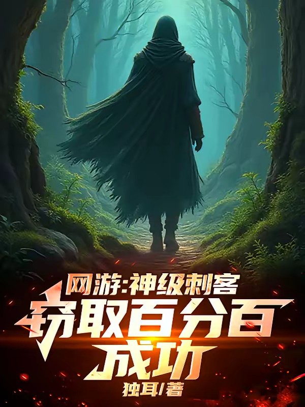 网游：我盗圣，借亿点神器怎么了封面