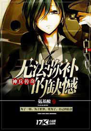 神兵传奇无法弥补的缺憾封面