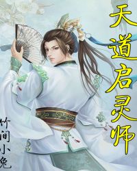 天道启灵师封面