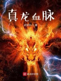 真龙血脉封面