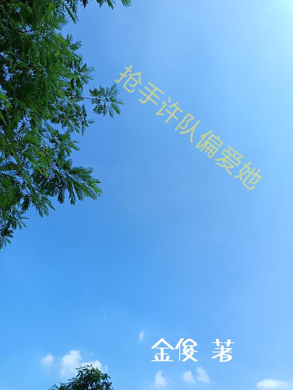 抢手许队偏爱她封面