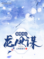 锦绣河山龙凤谋封面