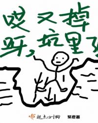 哎呀，又掉坑里了！封面