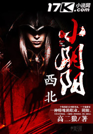 西北小阴阳封面