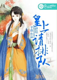 皇上请排队封面