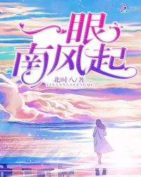 一眼南风起封面
