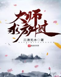 大师求放过封面