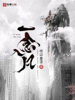 一念入凡封面