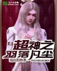 超神之羽落凡尘封面