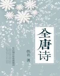 全唐诗封面