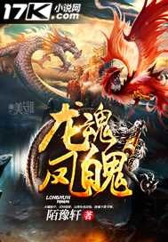 龙魂凤魄封面