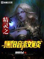 精灵之黑暗救赎封面