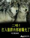 二哈!打入狼群内部被曝光了封面