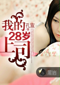 我的28岁上司封面