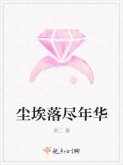 尘埃落尽年华封面