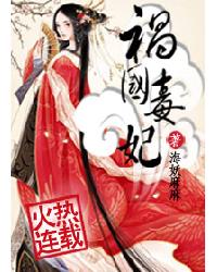 祸国毒妃封面